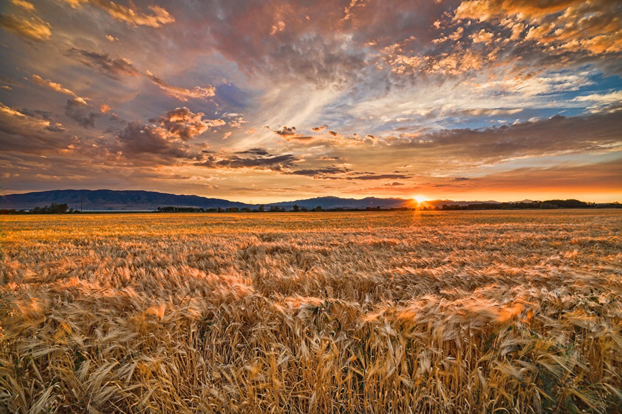 Atardecer sobre campos argentinos