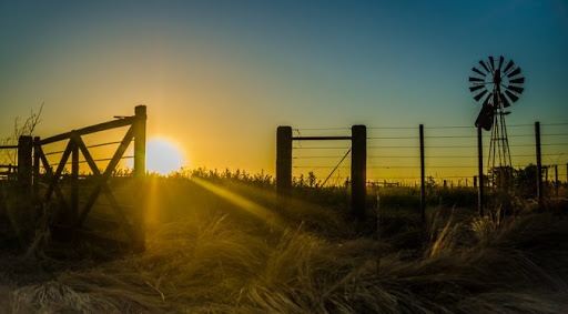 Amanecer sobre campo argentino con portera abierta — Umbral simbólico del proyecto Argentina al Mundo