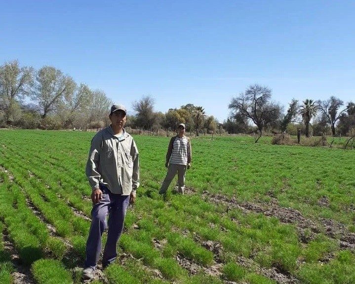 Productores del ecosistema Argentina al Mundo